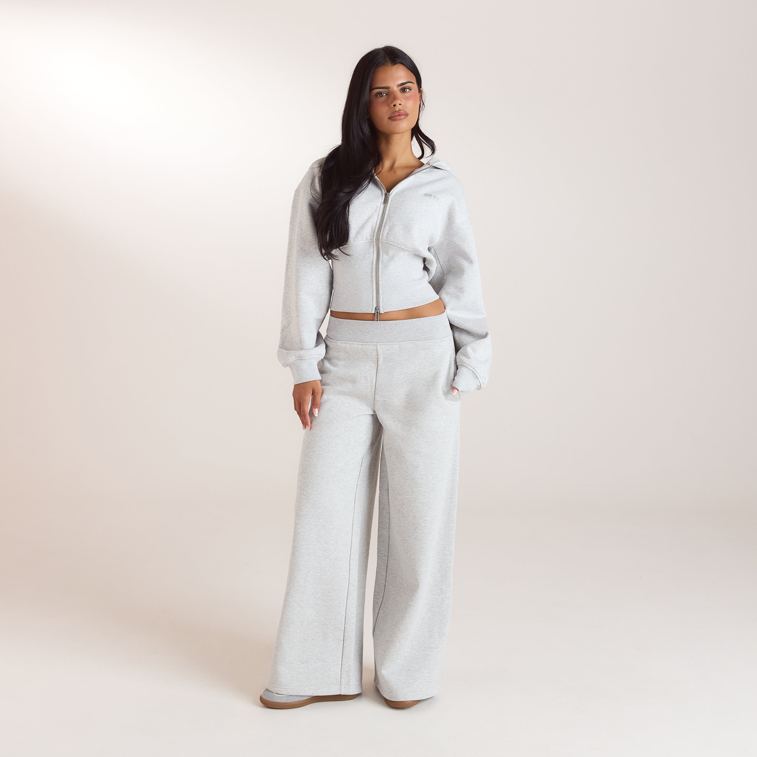 Getailleerde hoodie met ritssluiting | Getailleerde hoodie met ritssluiting - Grijs